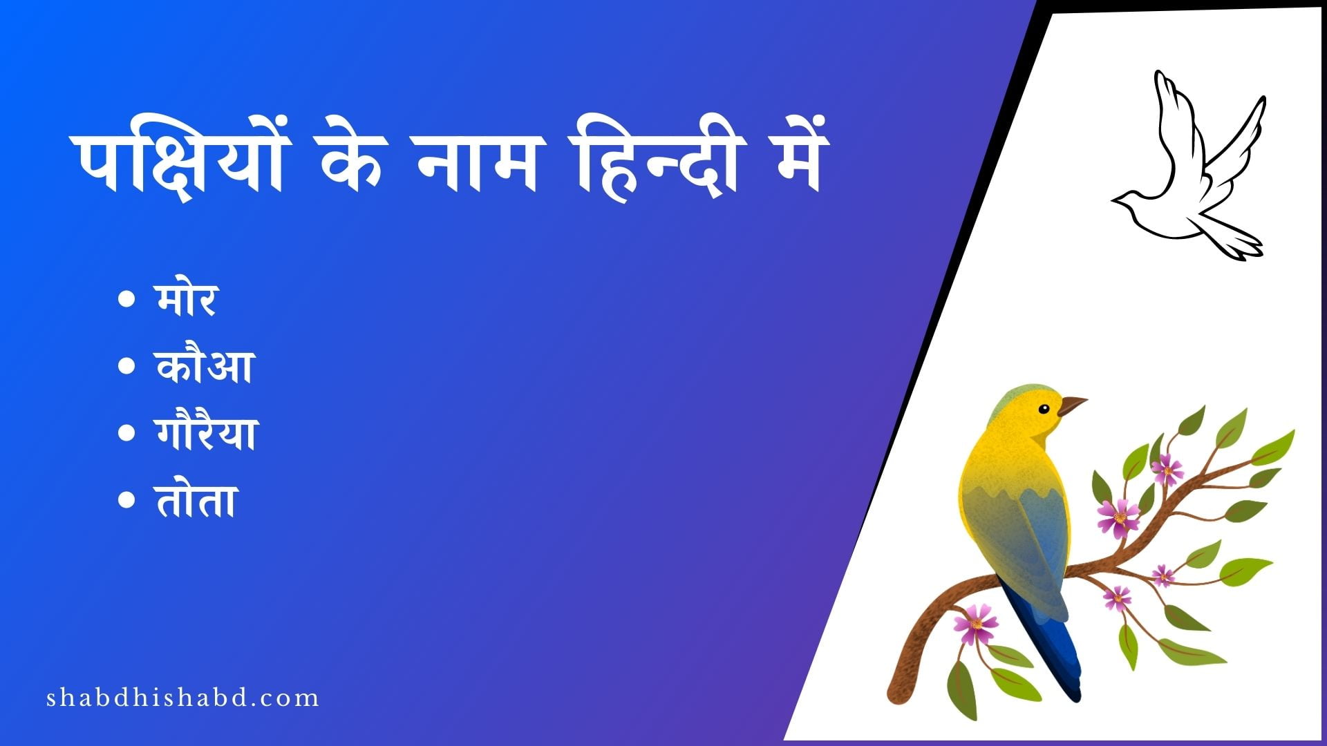 पक्षियों के नाम हिन्दी में | Pakshiyon Ke Naam Hindi Mein 2023