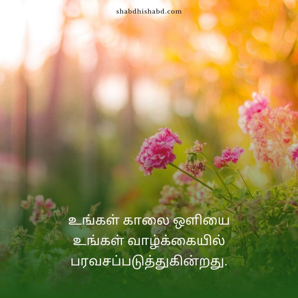 75+ Best Good Morning Quotes in Tamil | தமிழில் காலை வணக்கம்