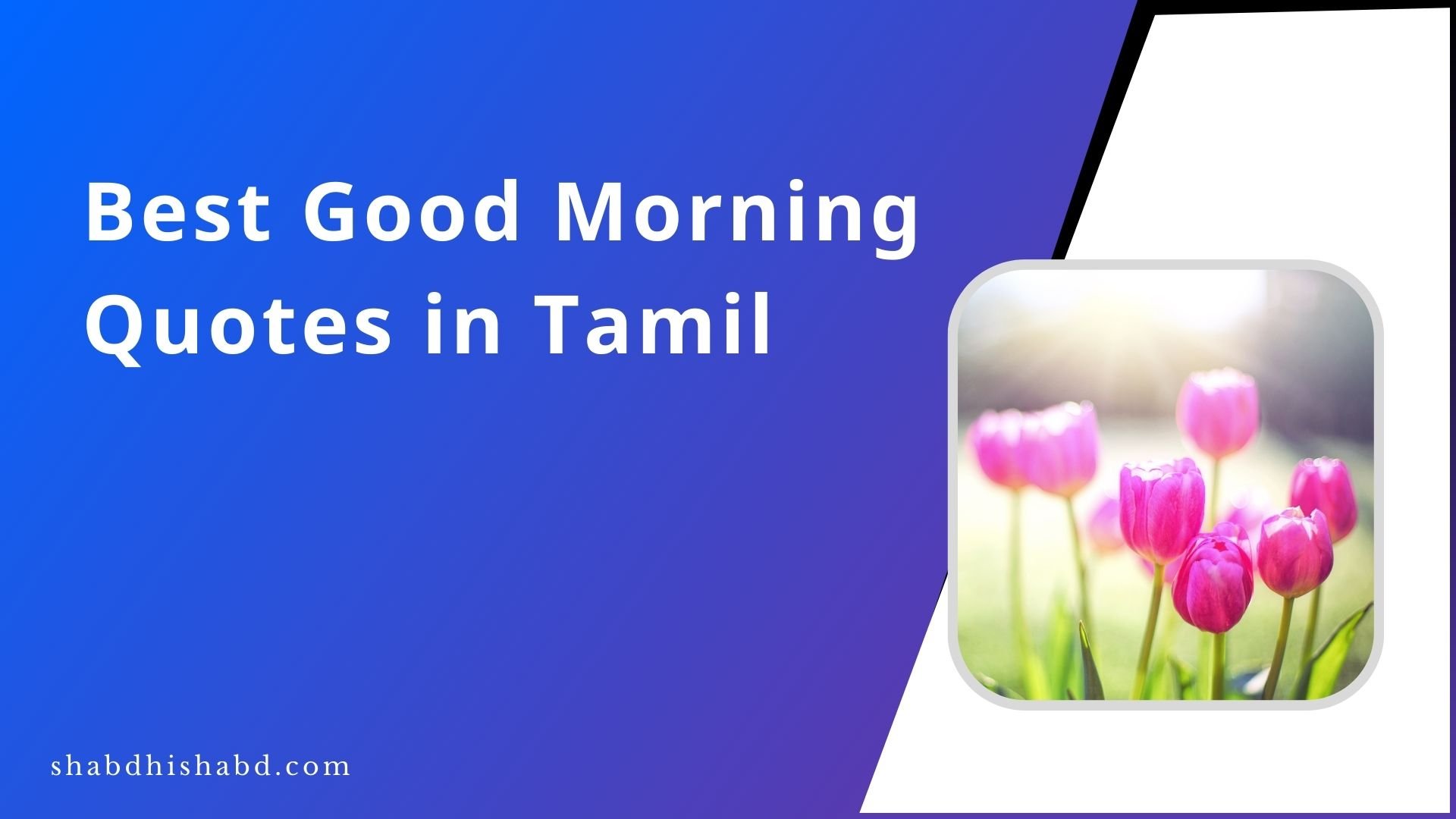 75+ Best Good Morning Quotes in Tamil | தமிழில் காலை வணக்கம்