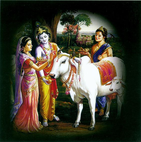 Gau Mata Ki Photo With Krishna 2